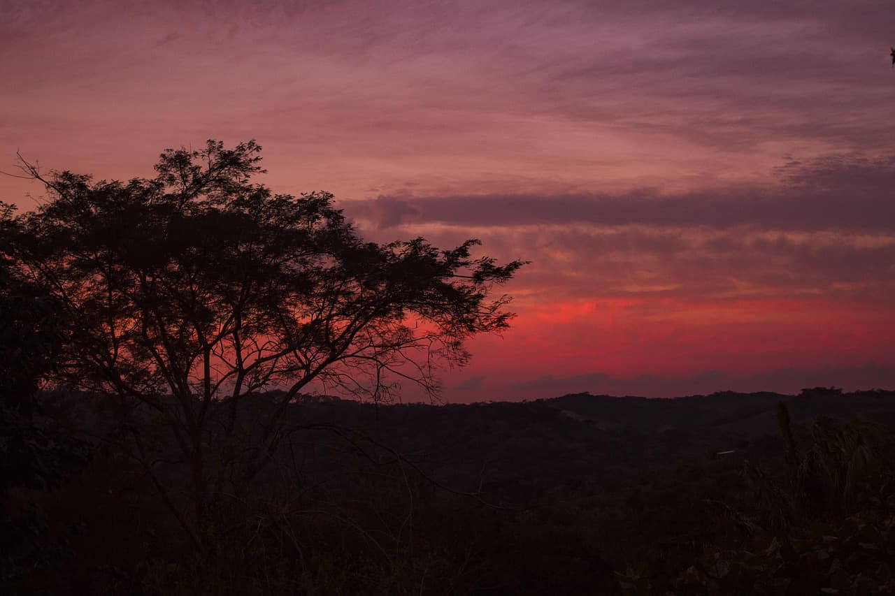 Atardecer con vegetación de tonos rojizos, en el chat de Coroico