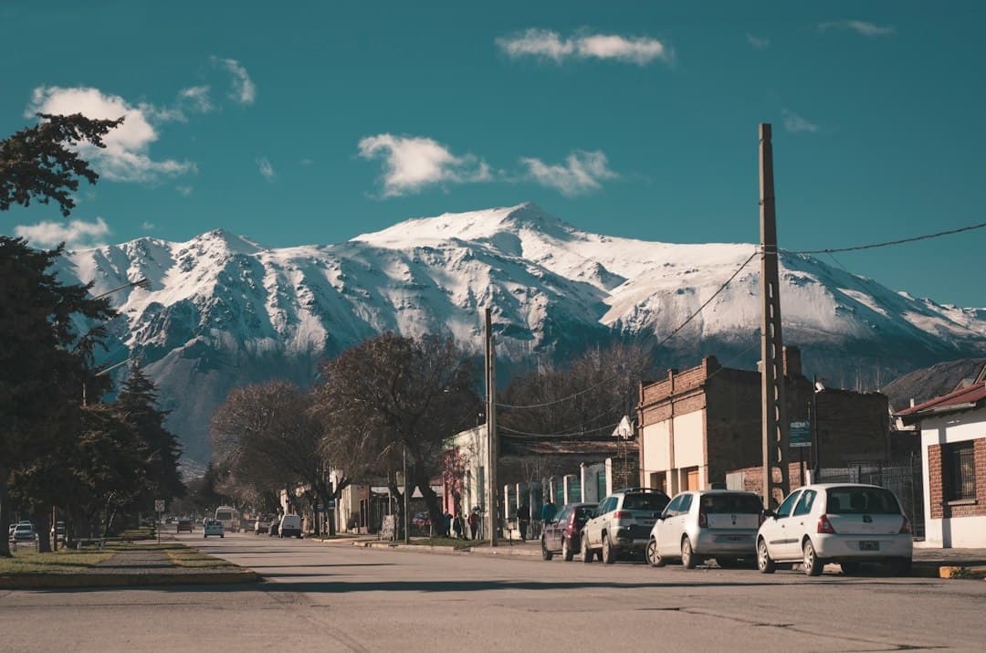 Coches aparcados junto a una carretera con árboles y una montaña nevada, en el chat de Jardín América