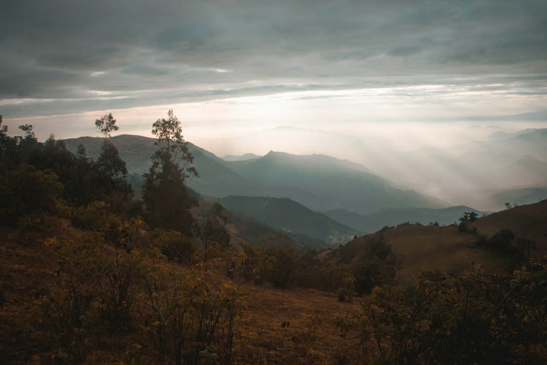 Árboles verdes en la montaña bajo nubes blancas, en el chat de Celendín