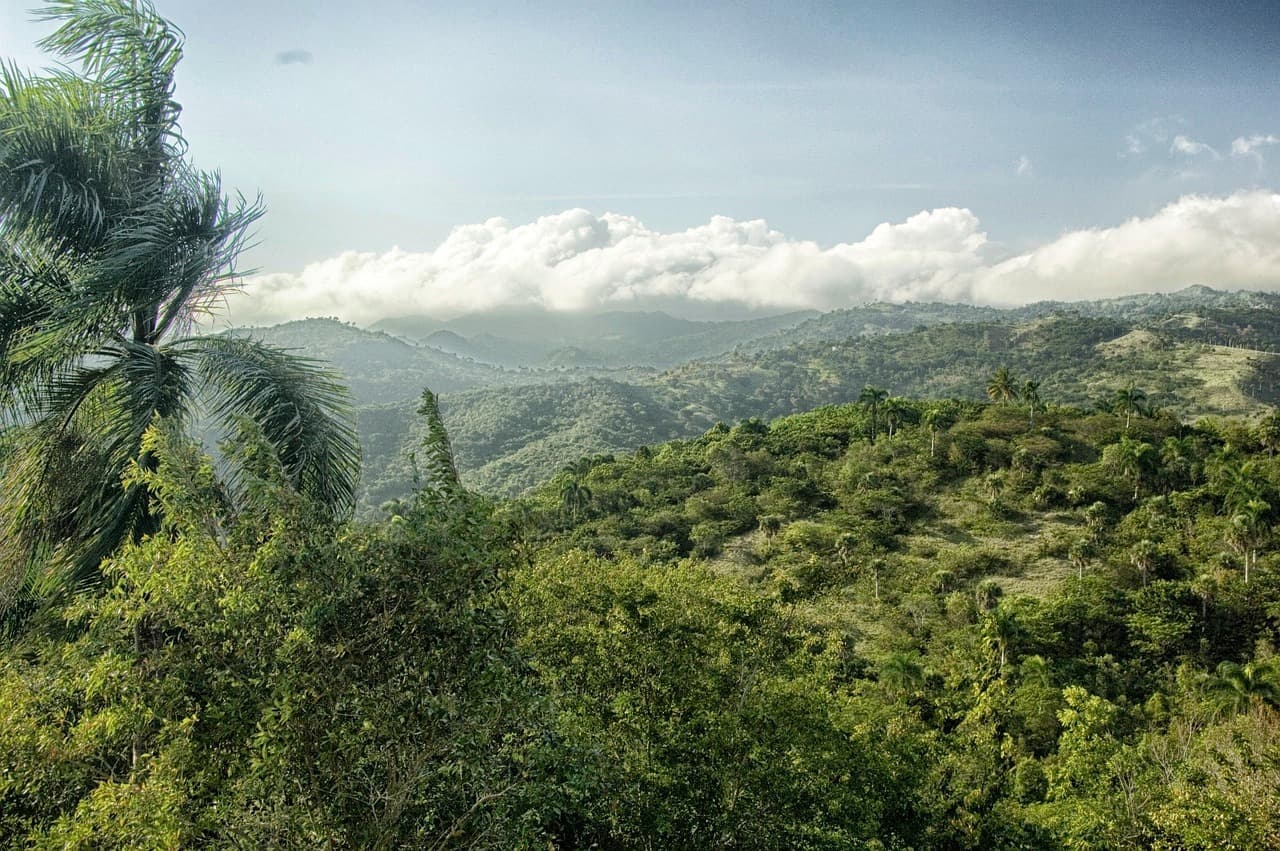 Paisaje de República Dominicana, en el chat de Tamayo