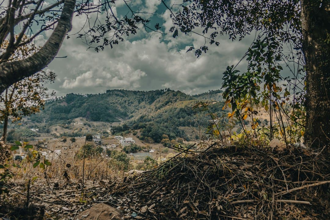 Valle verde y frondoso con montañas a lo lejos, en el chat de San Felipe