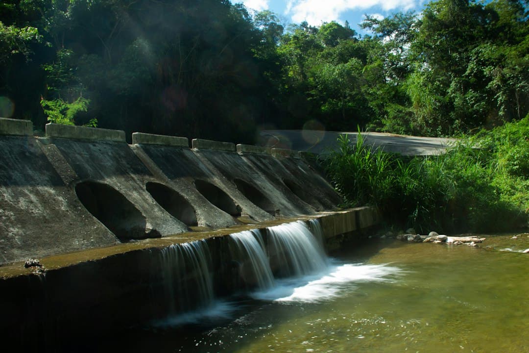 Pequeña cascada sobre una presa en medio del bosque, en el chat de Villa Tapia