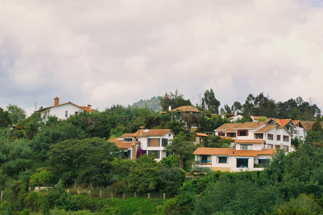 Casas entre árboles verdes en una ladera nublada, en el chat de Istmina