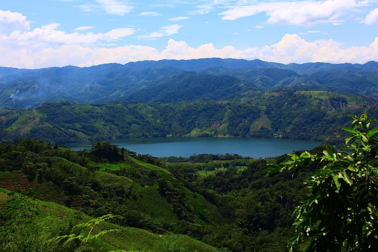 Laguna rodeada de vegetación, en el chat de Samaná
