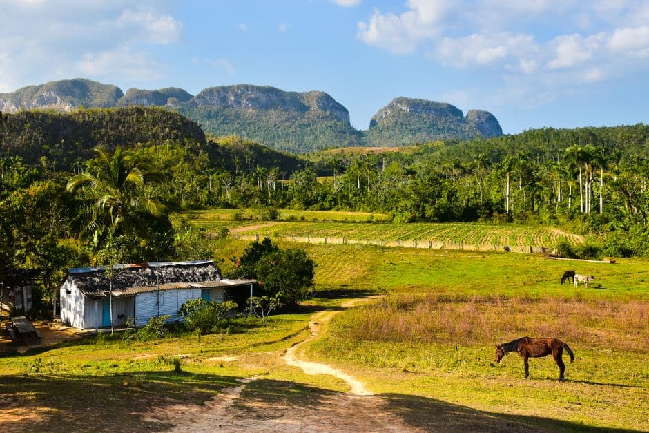 Paisaje rural con campos abiertos, en el chat de Batabanó