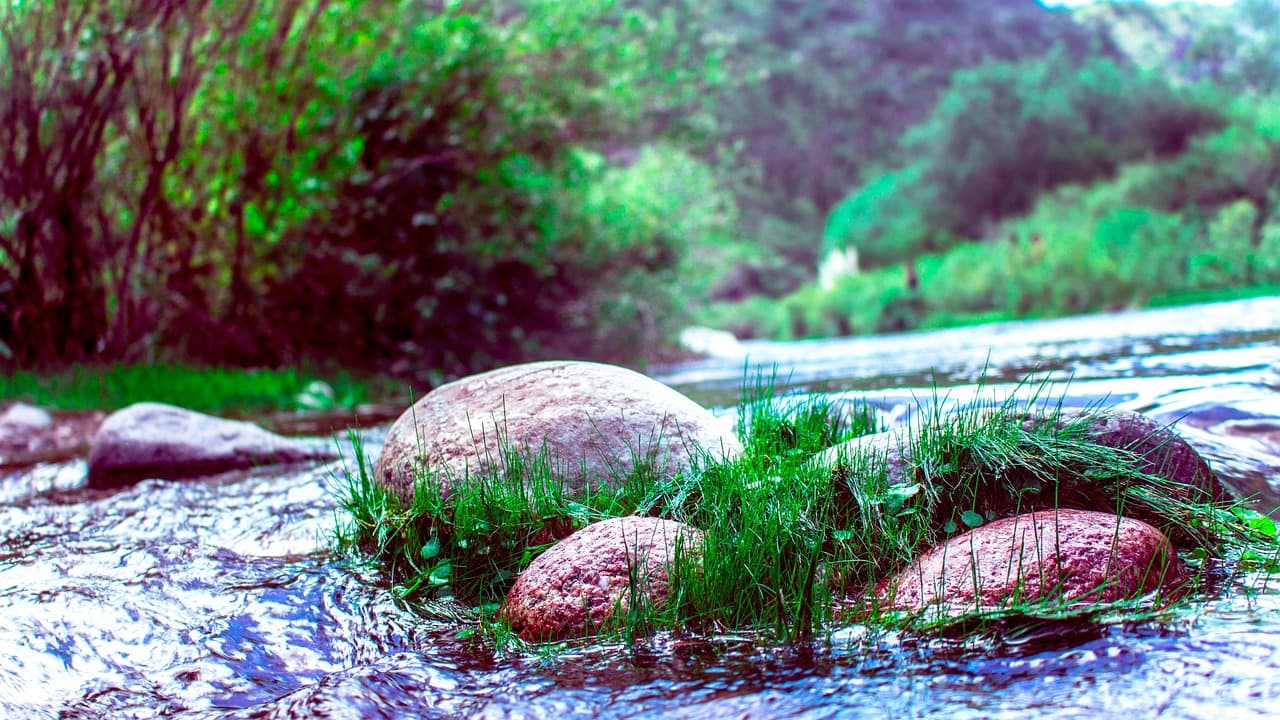 Río entre la naturaleza de Argentina, en el chat de Cosquín