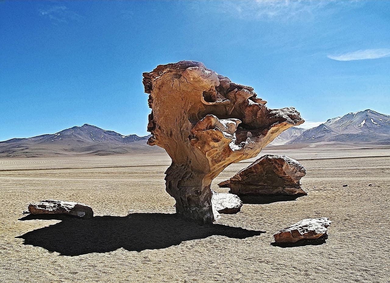 Árbol en un paisaje de Bolivia, en el chat de Cuatro Cañadas