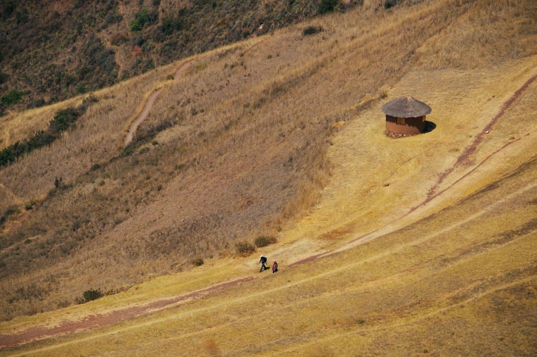 Choza de techo de paja en una ladera seca con terrazas, en el chat de Túcume