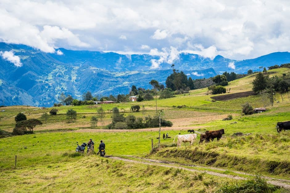 Paisaje verde, en el chat de Sabanagrande