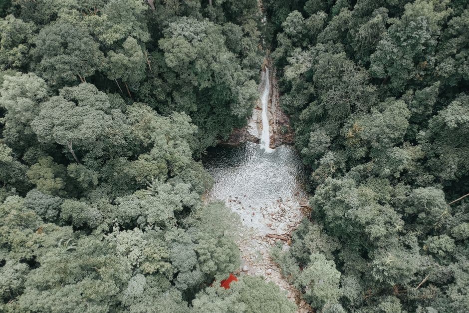 Vista aérea de cascadas rodeadas de árboles, en el chat de Los Guido