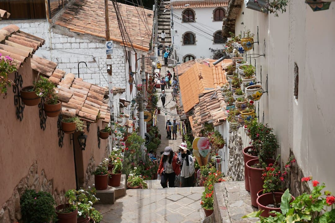 Gente que sube por una calle estrecha y empinada llena de plantas, en el chat de Sicaya