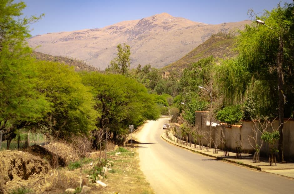 Carretera sinuosa que atraviesa un paisaje verde y frondoso, en el chat de San Borja