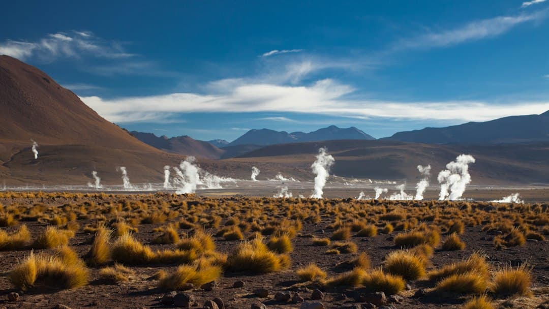 Pasto seco sobre tierra parda a plena luz del día, en el chat de Freire