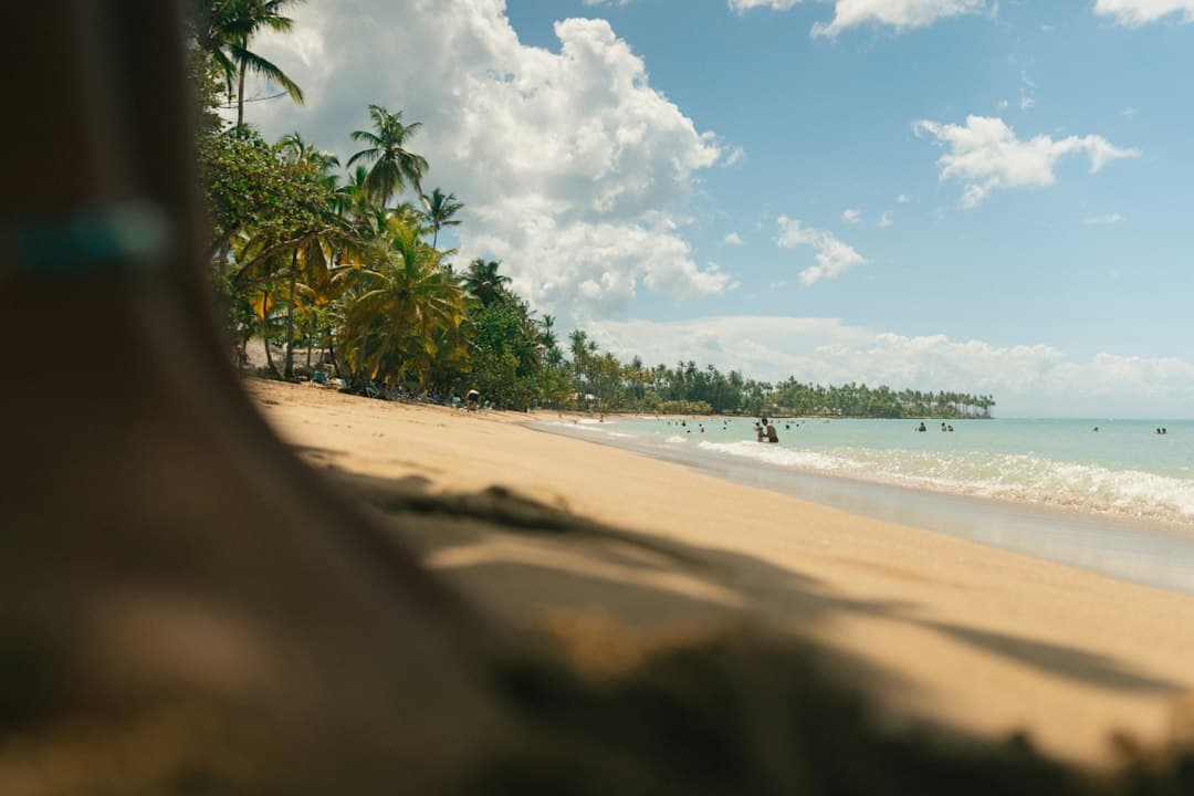 Playa tropical con palmeras y olas del mar, en el chat de Sánchez