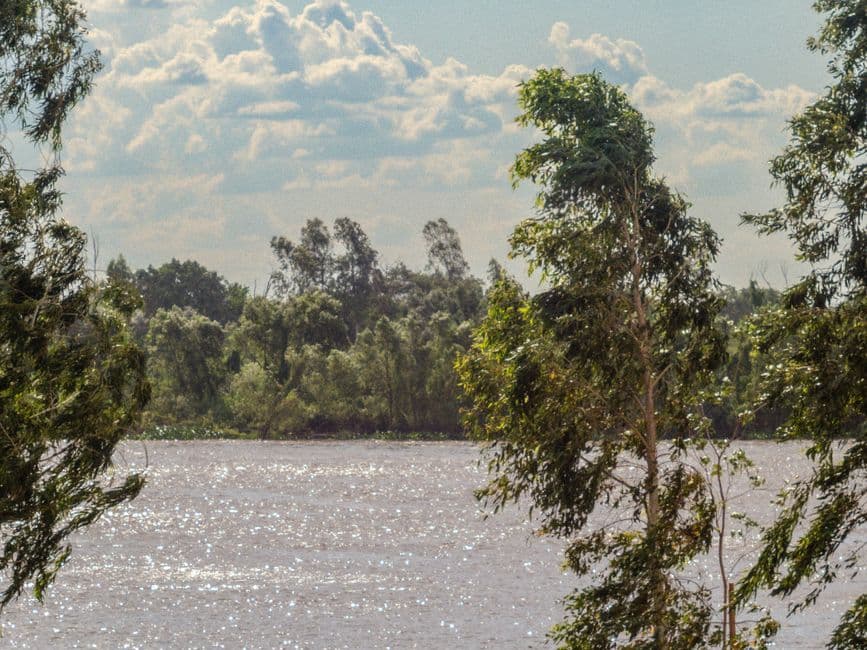 Árboles verdes junto a un río, en el chat de Paraguarí
