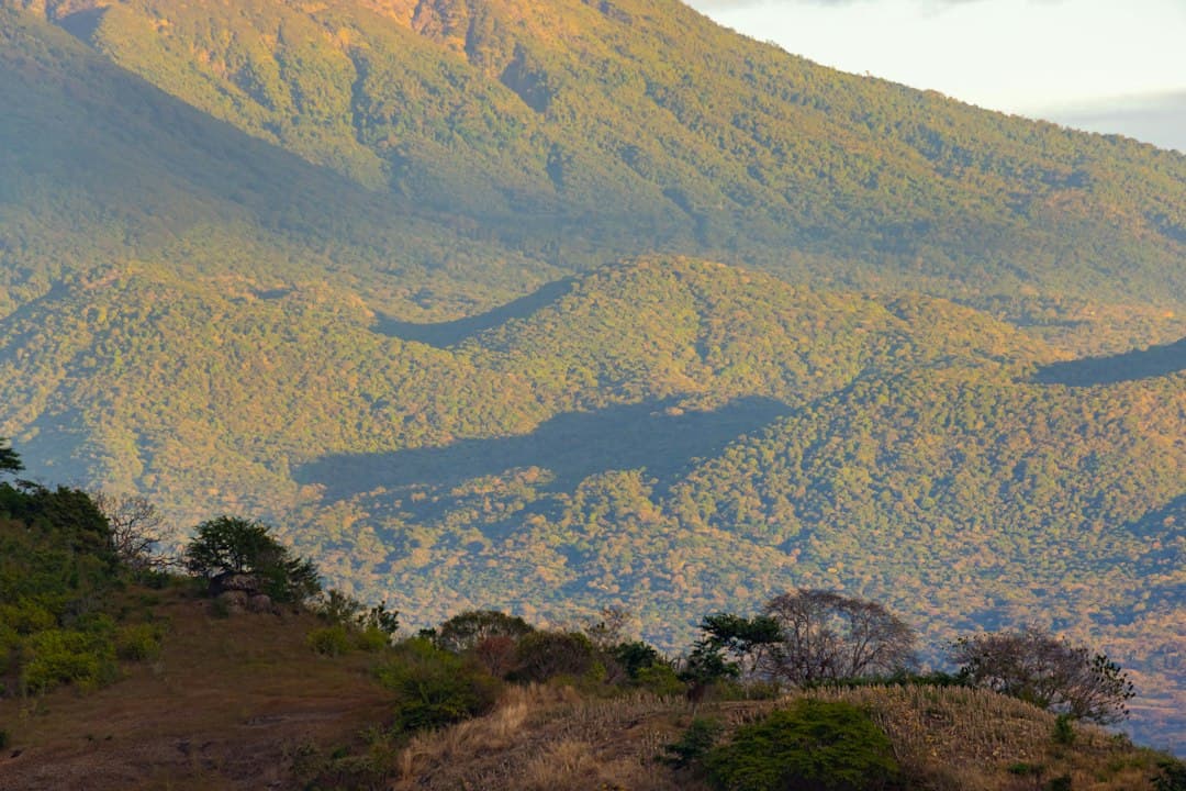 Cordillera con árboles en la ladera, en el chat de Candelaria de la Frontera