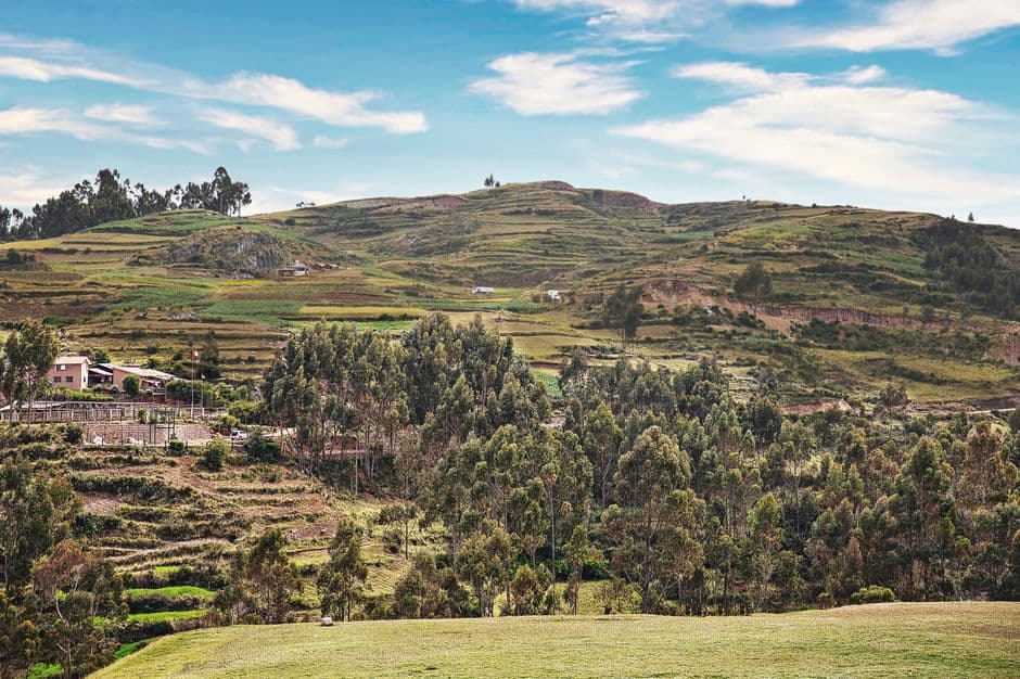 Árboles verdes sobre un prado bajo el cielo azul, en el chat de Cajabamba