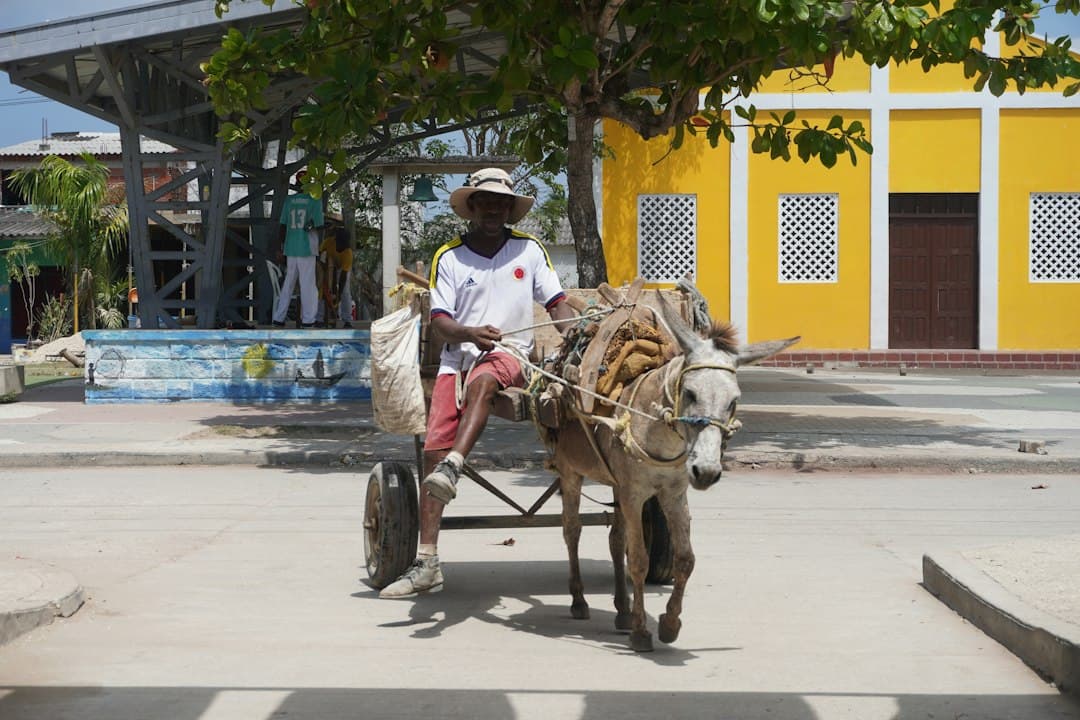 Hombre en una carreta tirada por un burro calle abajo, en el chat de Santa Ana