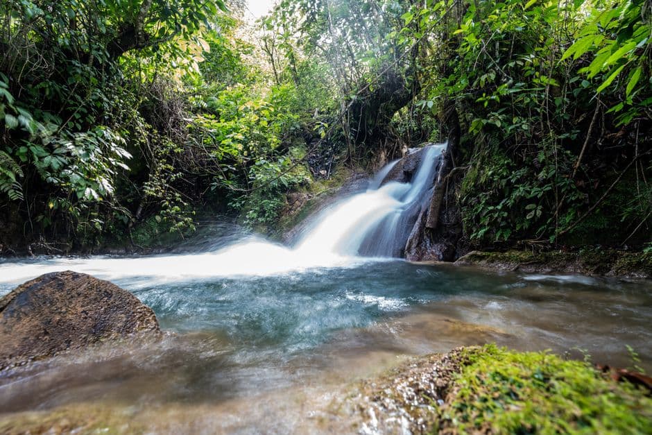 Cascada en la selva frondosa de Guatemala, en el chat de Río Hondo