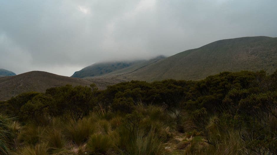 Montaña envuelta en niebla en un día gris, en el chat de Macas