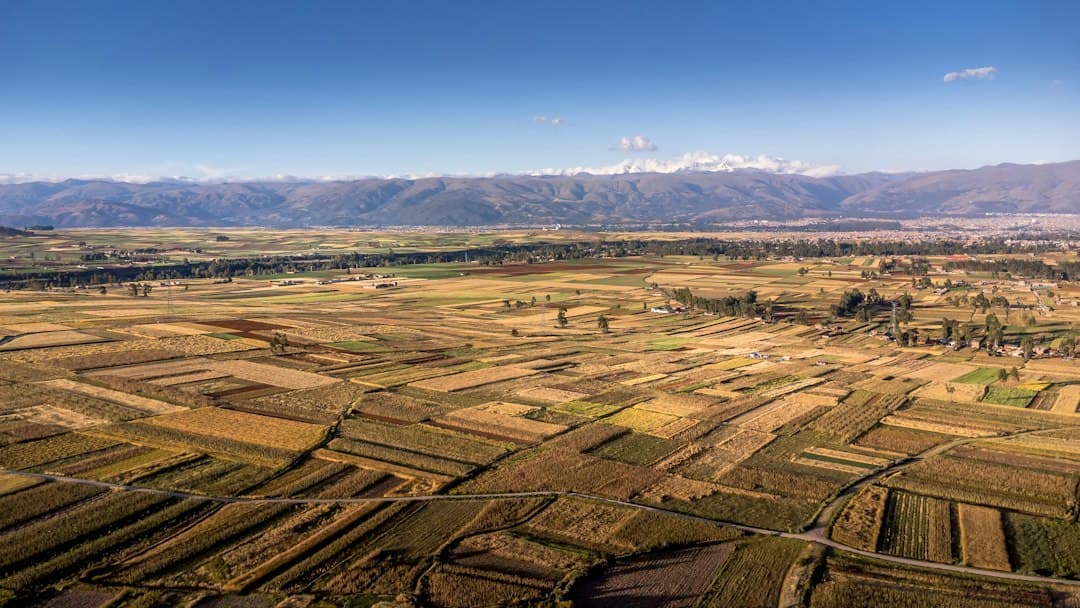 Campos amplios con montañas nevadas al fondo, en el chat de Yauli