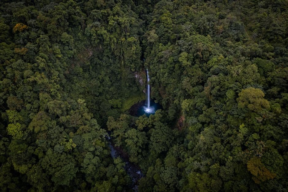 Bosque verde alrededor de una cascada, en el chat de La Trinidad