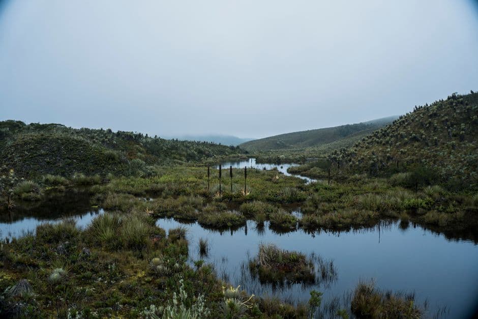 Paisaje de montaña de Colombia, en el chat de Taminango