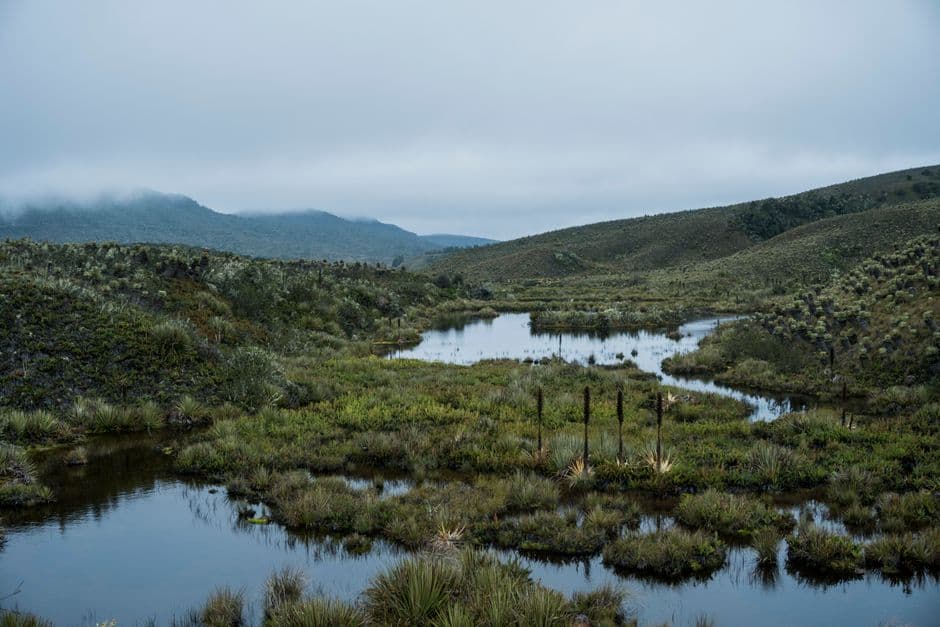 Paisaje de Colombia, en el chat de San Bernardo