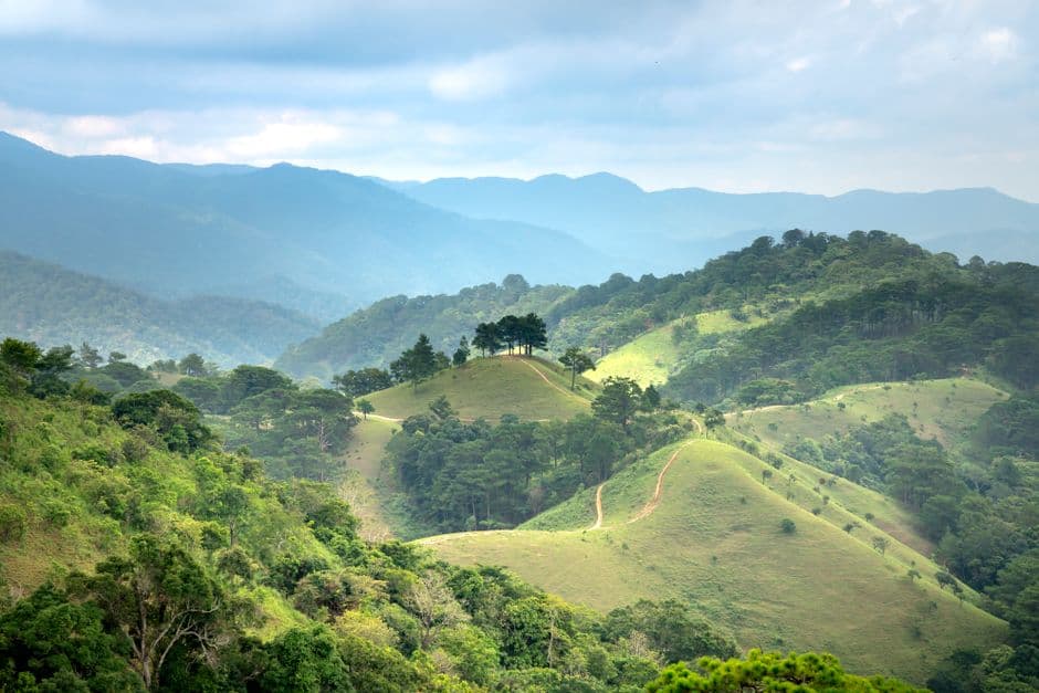 Paisaje de montaña con árboles frondosos, en el chat de Yamaranguila