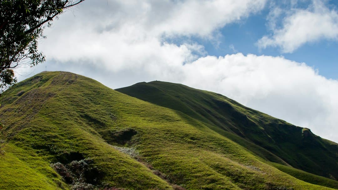 Montaña cubierta de hierba de día, en el chat de Colonia Tovar