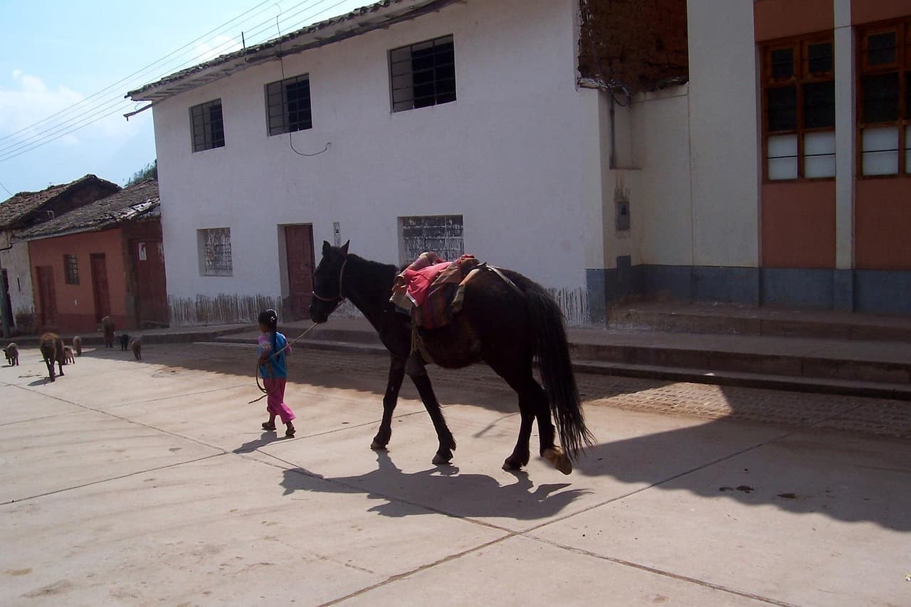 Caballo en el campo peruano, en el chat de San José