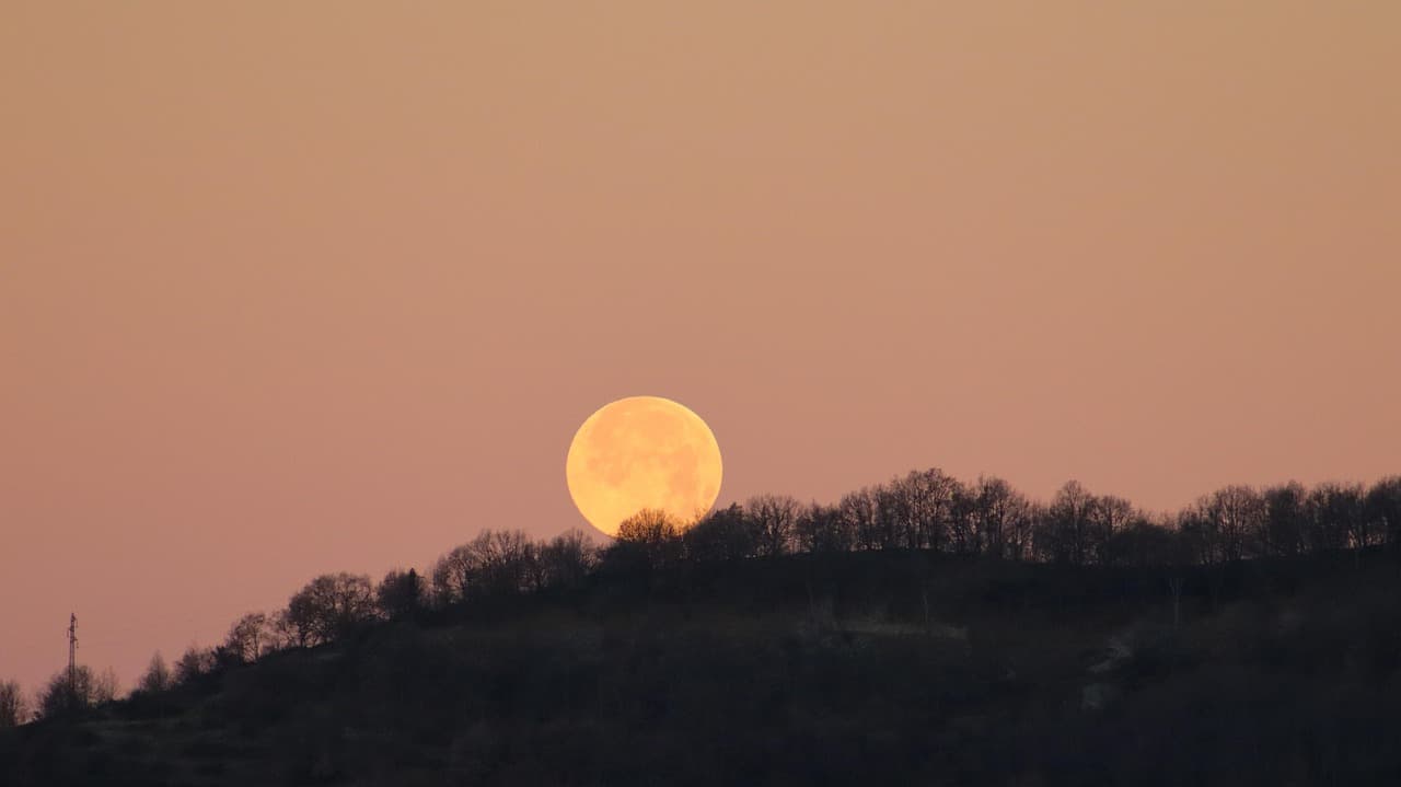 Bosque al amanecer con la luna, en el chat de Don Bosco