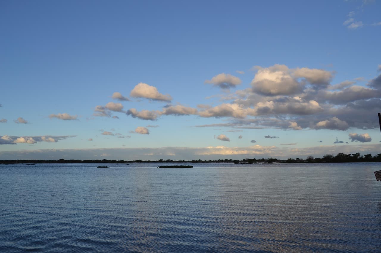 Orilla de un río rodeada de naturaleza, en el chat de Firmat