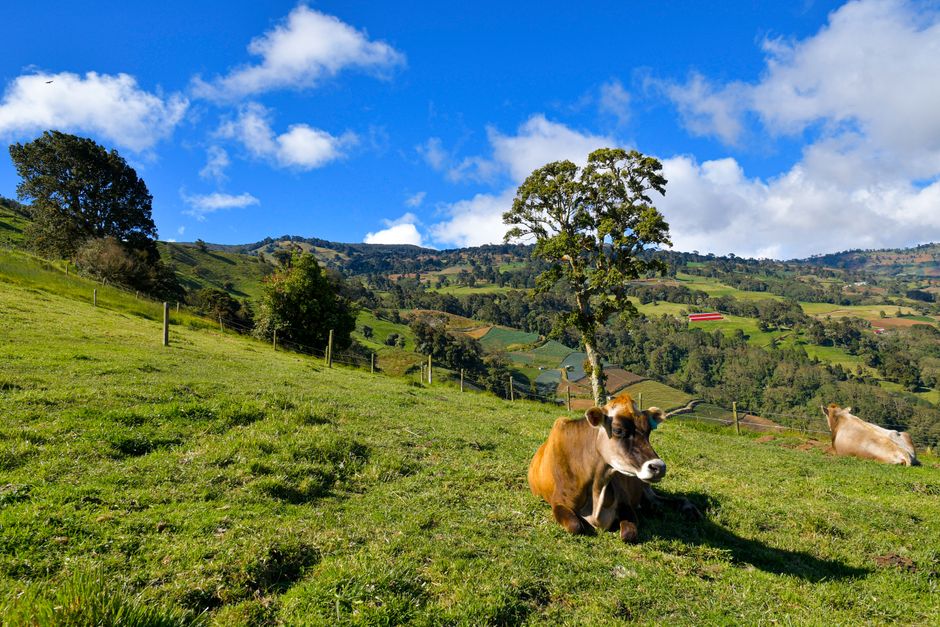 Vista de Cartago, Colombia