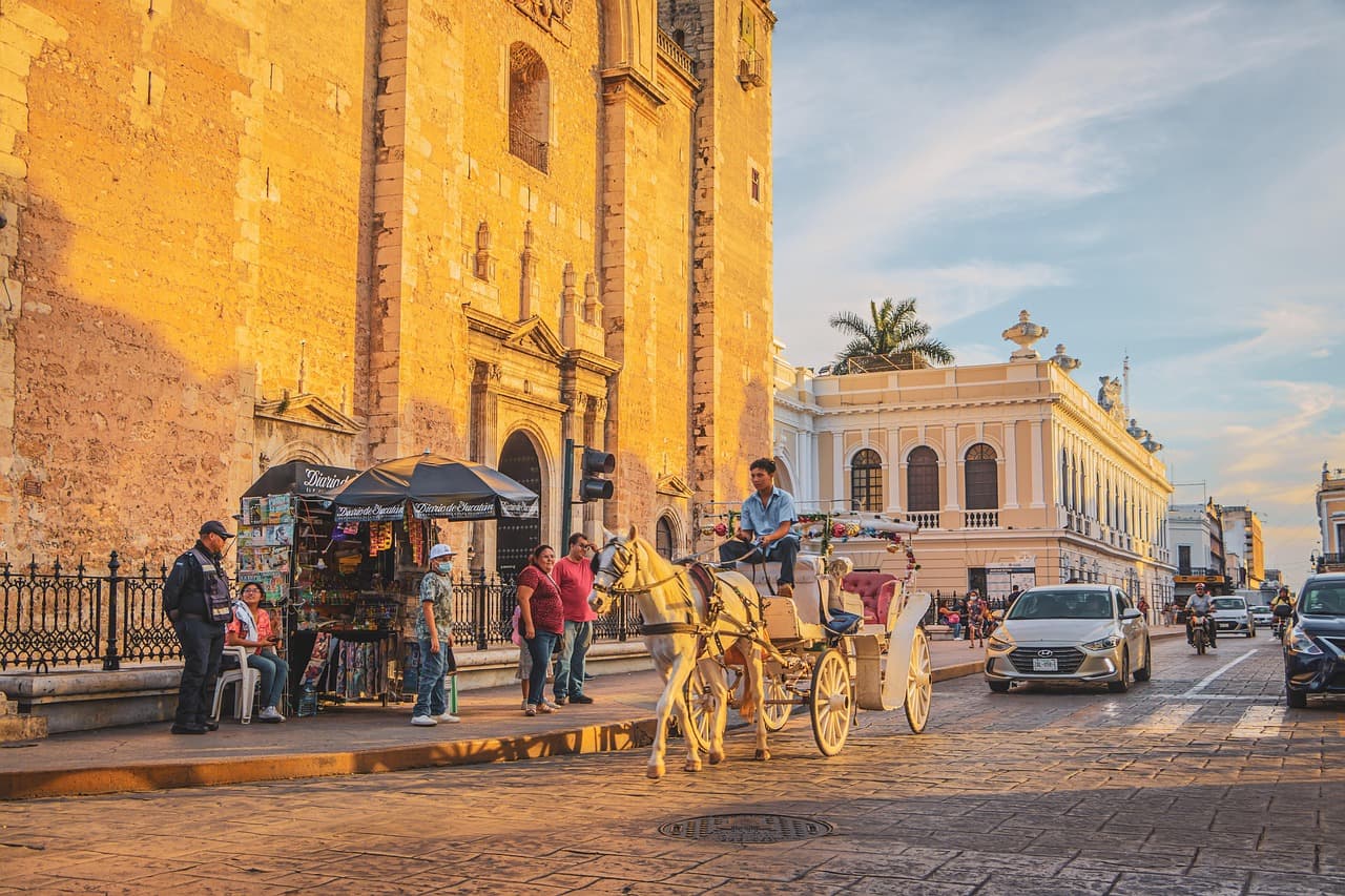 Carruaje de caballos por una calle de casas coloniales, en el chat de Vega de Alatorre