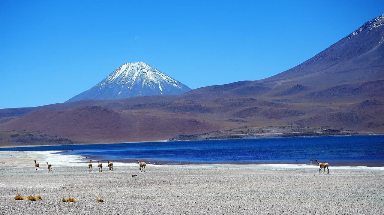 Laguna del parque nacional Los Flamencos en Chile, en el chat de Los Álamos