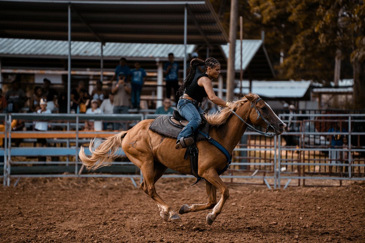 Jinete a caballo en un espectáculo de rodeo, en el chat de San José El Rodeo