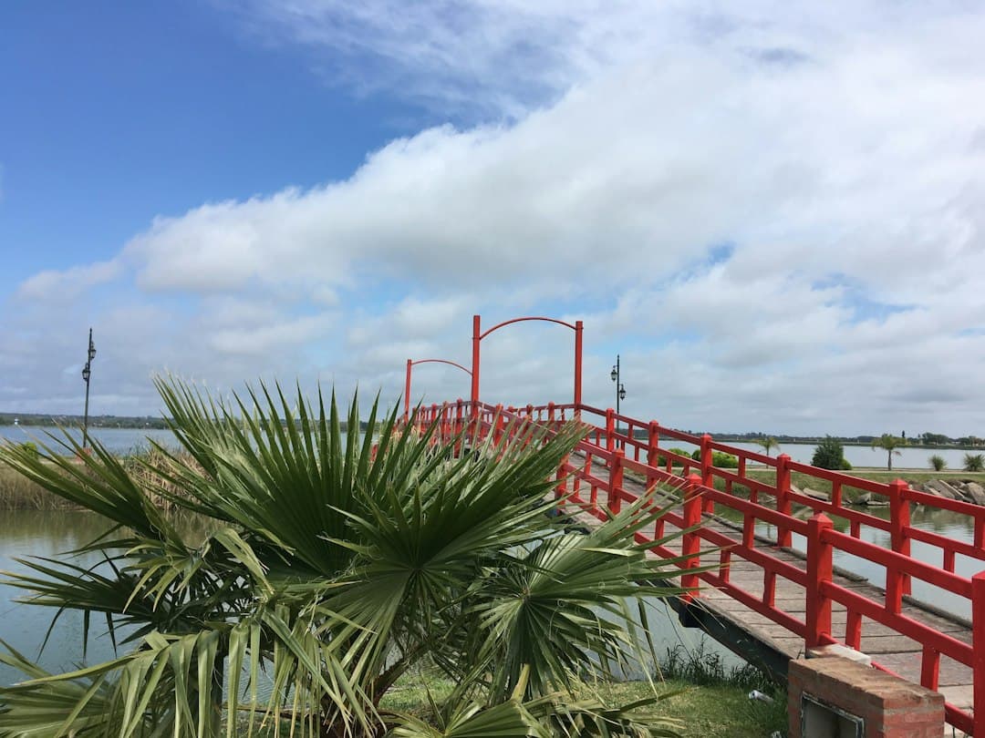 Puente rojo sobre una masa de agua, en el chat de Santa Rosa