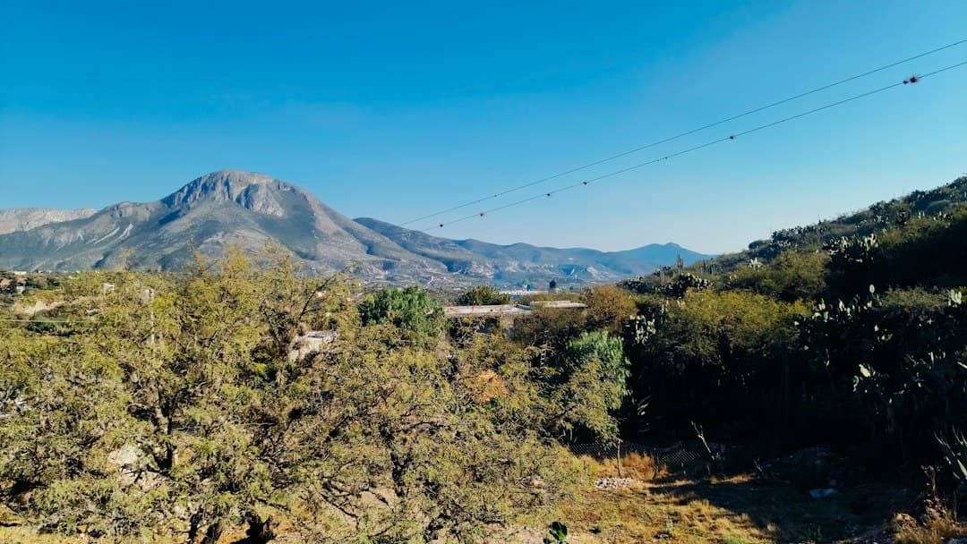 Paisaje de montaña con árboles y cielo azul despejado, en el chat de Xochitepec