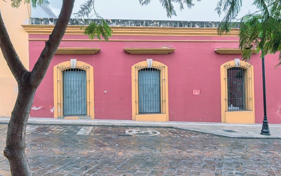 Edificio rosa y amarillo con un árbol delante, en el chat de San Juan Mazatlán