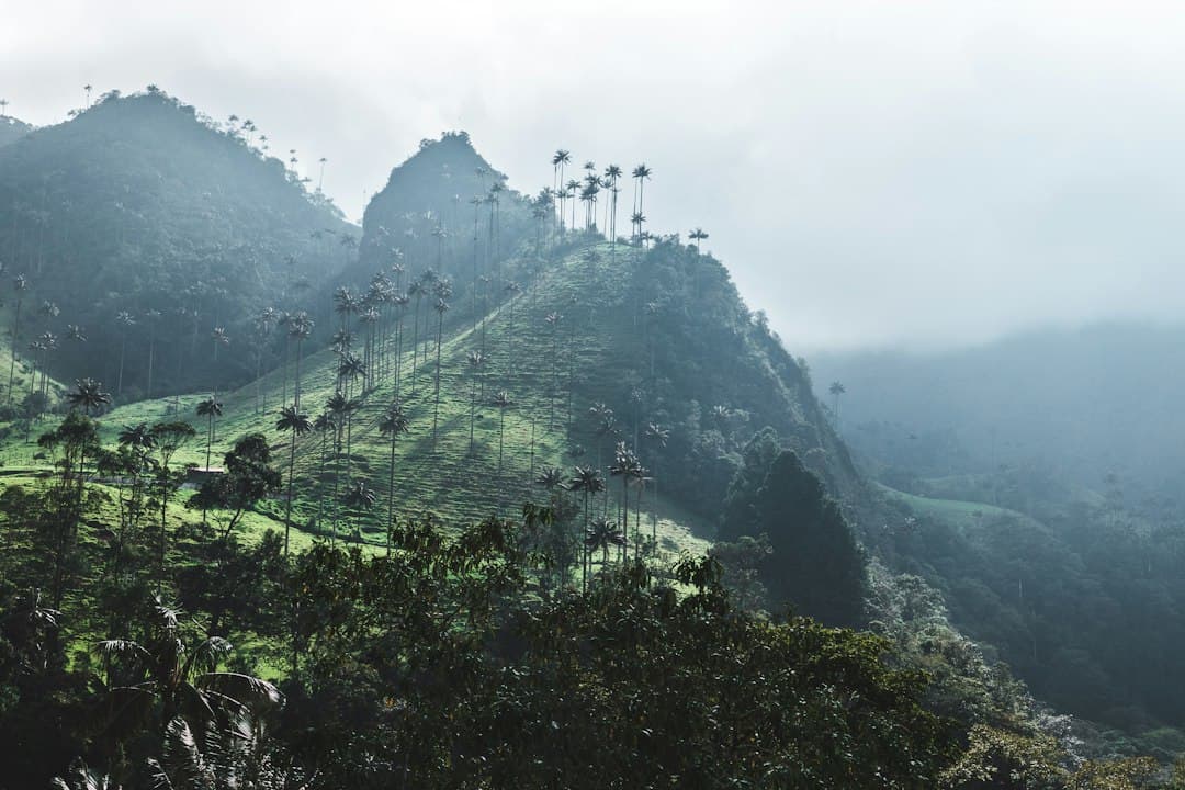 Montaña verde a plena luz del día, en el chat de La Unión
