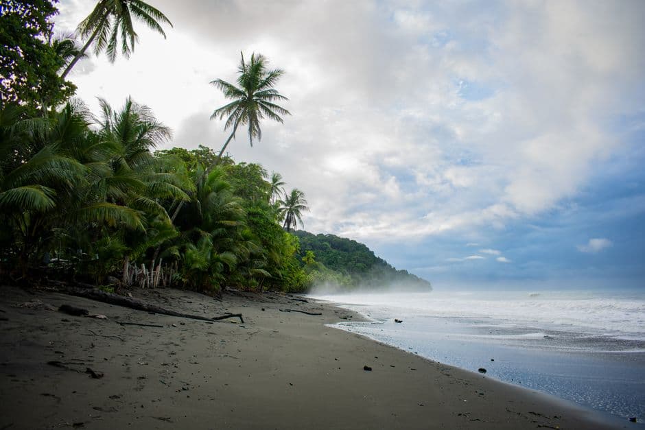 Palmeras en una playa tropical, en el chat de Corredor