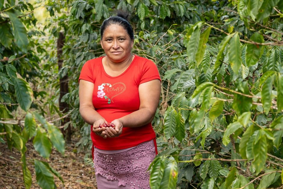 Mujer cosechando café en una plantación, en el chat de Pimienta