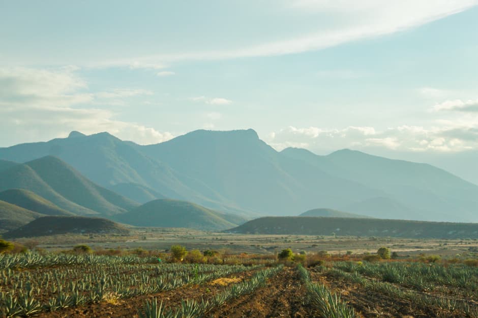 Campos con montañas a lo lejos, en el chat de Asunción Nochixtlán