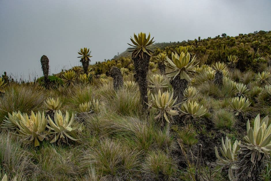 Vista de Ipiales, Colombia