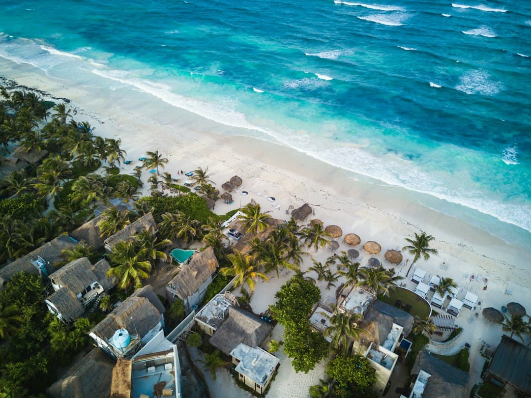Vista aérea de casas junto al mar, en el chat de Heroica Villa de San Blas Atempa
