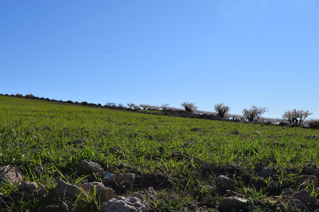 Paisaje de campo en plena naturaleza, en el chat de Campo de la Cruz