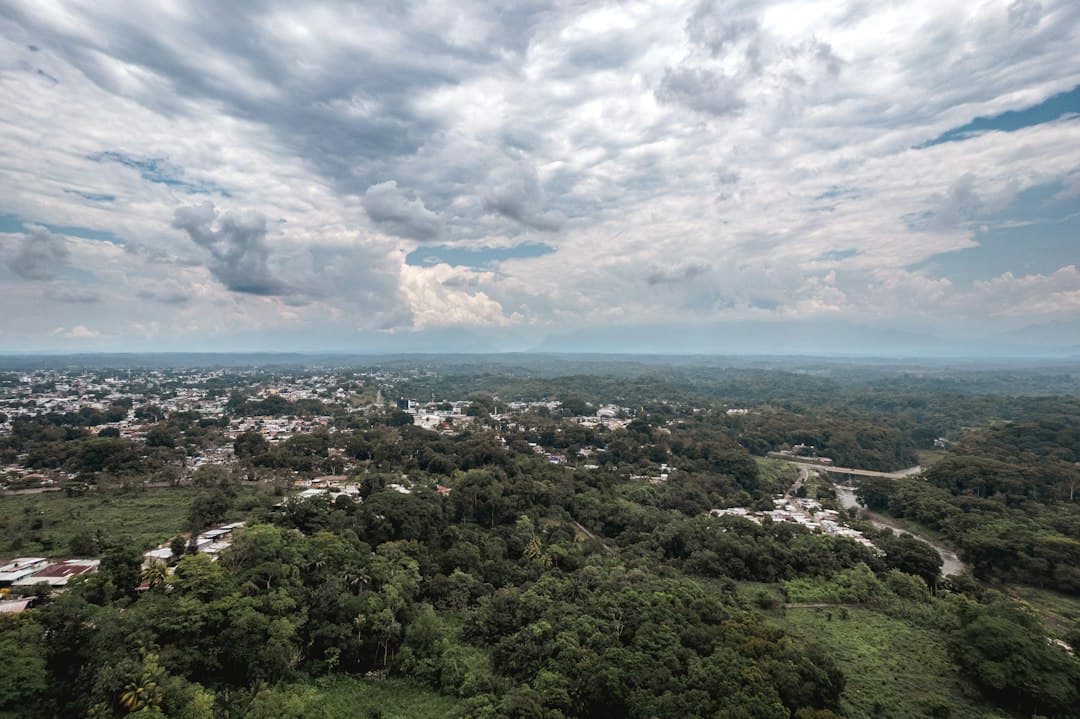 Paisaje con árboles y edificios, en el chat de Pijijiapan