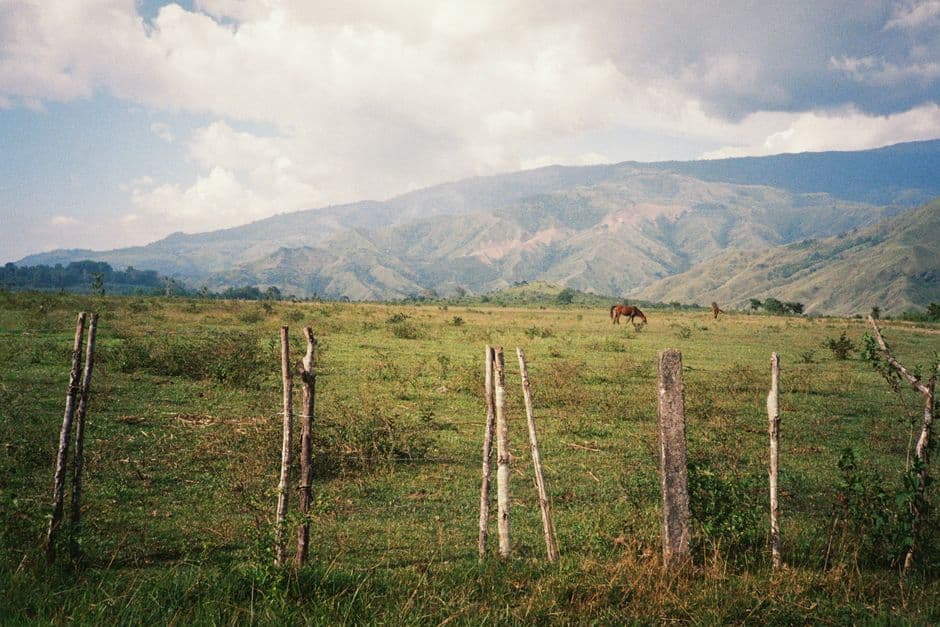 Pastizal verde con caballos pastando bajo montañas onduladas, en la sala de chat de Colomoncagua