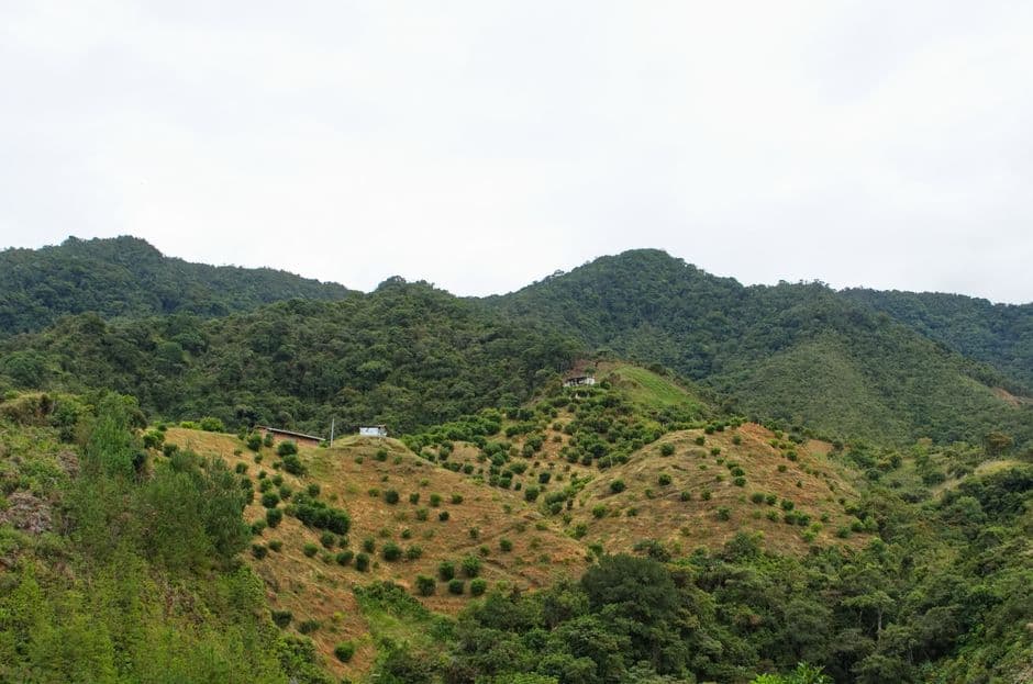 Colinas verdes y frondosas de Antioquia, en el chat de San Vicente Ferrer